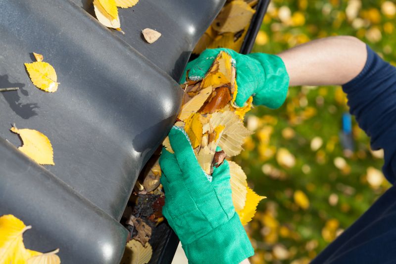 Holiday Gutter Maintenance Deals